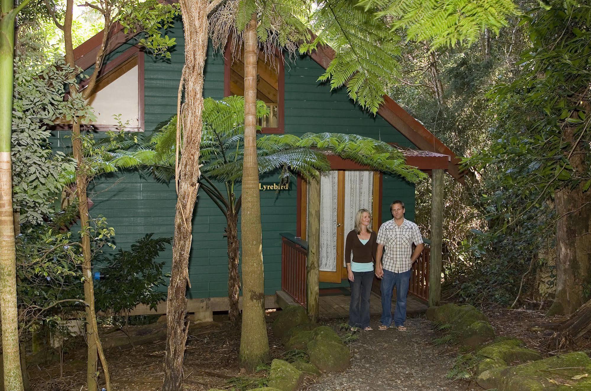 Вилла Springbrook Lyrebird Retreat Экстерьер фото