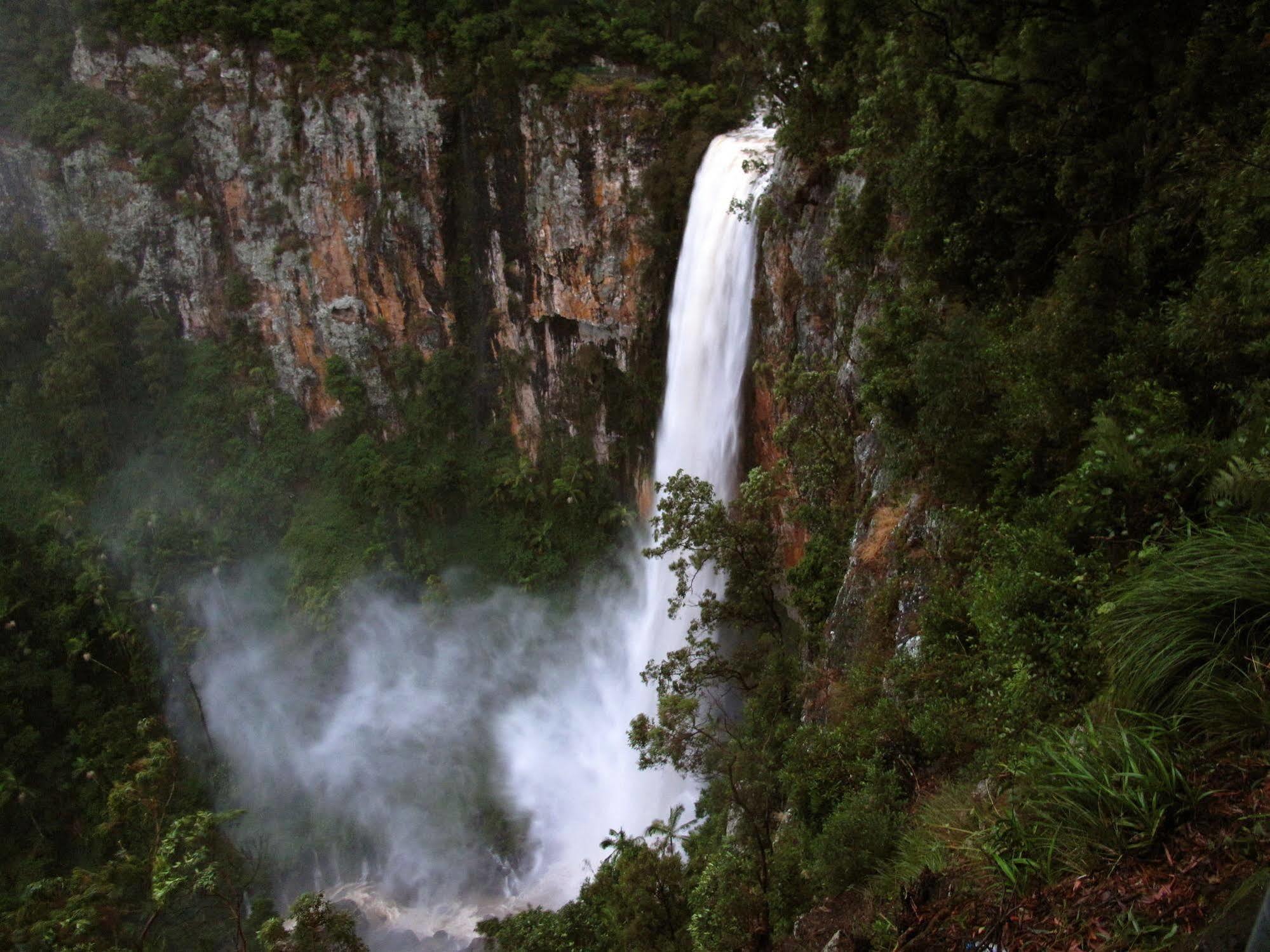 Вилла Springbrook Lyrebird Retreat Экстерьер фото