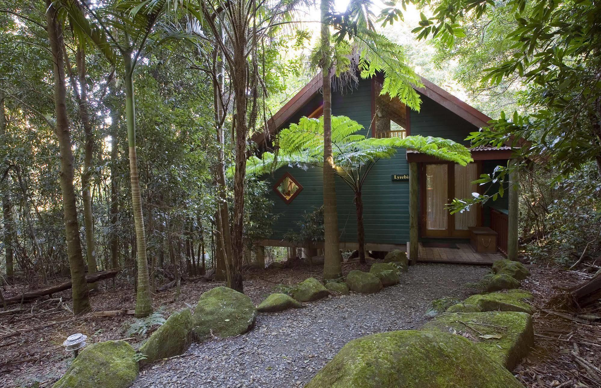 Вилла Springbrook Lyrebird Retreat Экстерьер фото